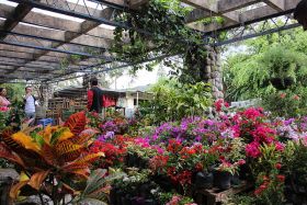 El Valle de Anton open air market – Best Places In The World To Retire – International Living